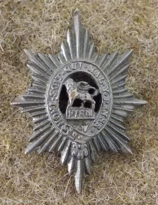 worcestershire regiment collar badge